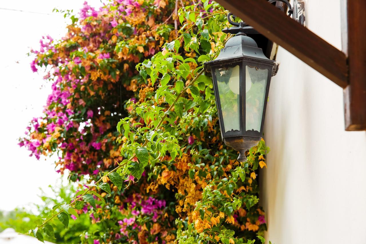 Bed & Breakfast Santa Fara バーリ エクステリア 写真