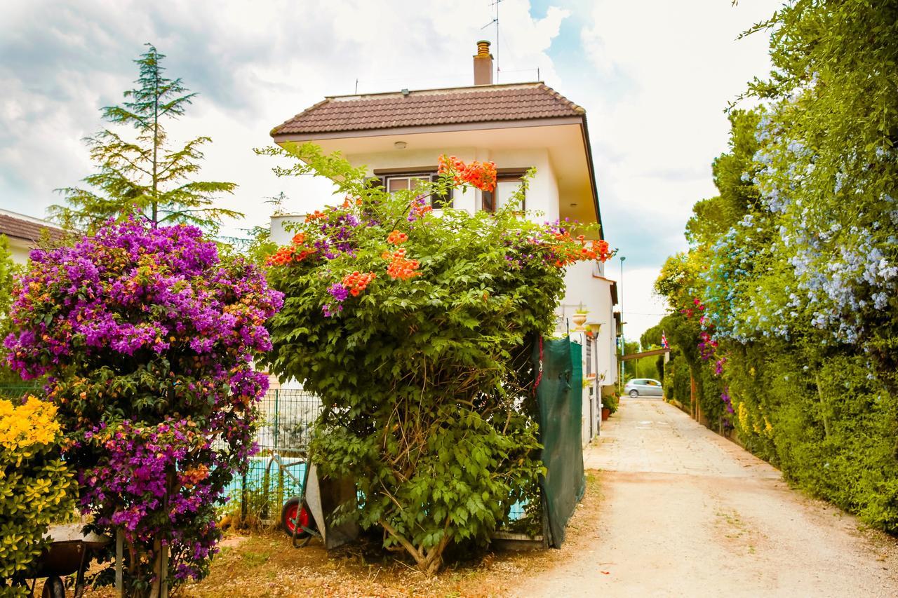 Bed & Breakfast Santa Fara バーリ エクステリア 写真